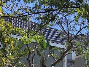 Exterior Building view from street